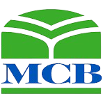 MCB Amson Constructions